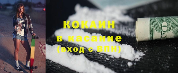 индика Карталы