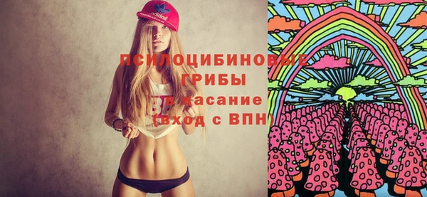 индика Карталы