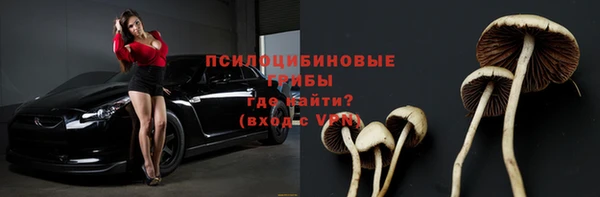 индика Карталы