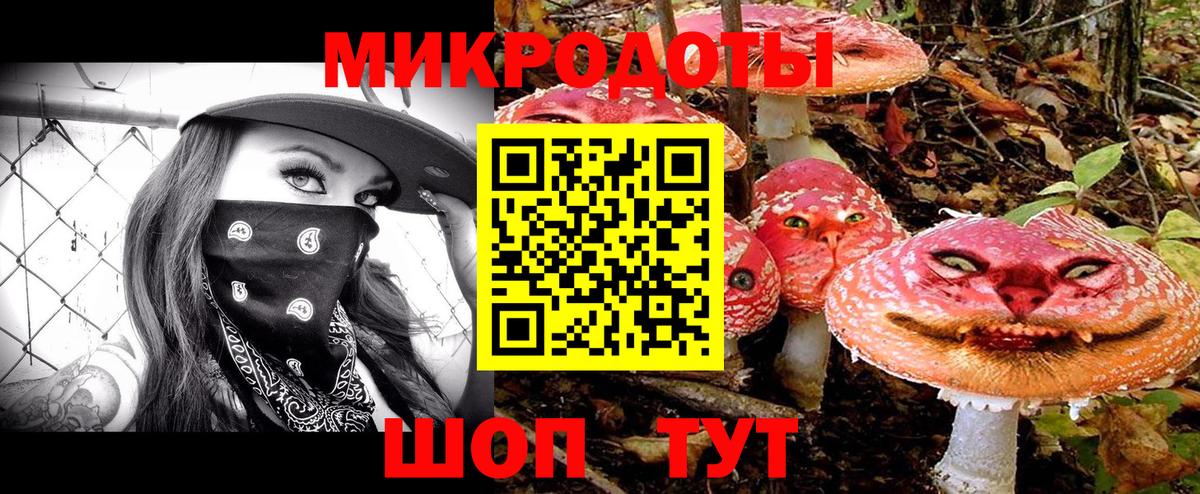 Псилоцибиновые грибы мицелий  Курск 