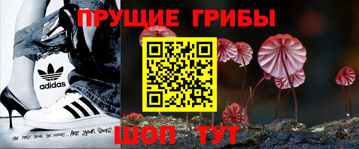 Курск  Галлюциногенные грибы Magic Shrooms  Вход с VPN 